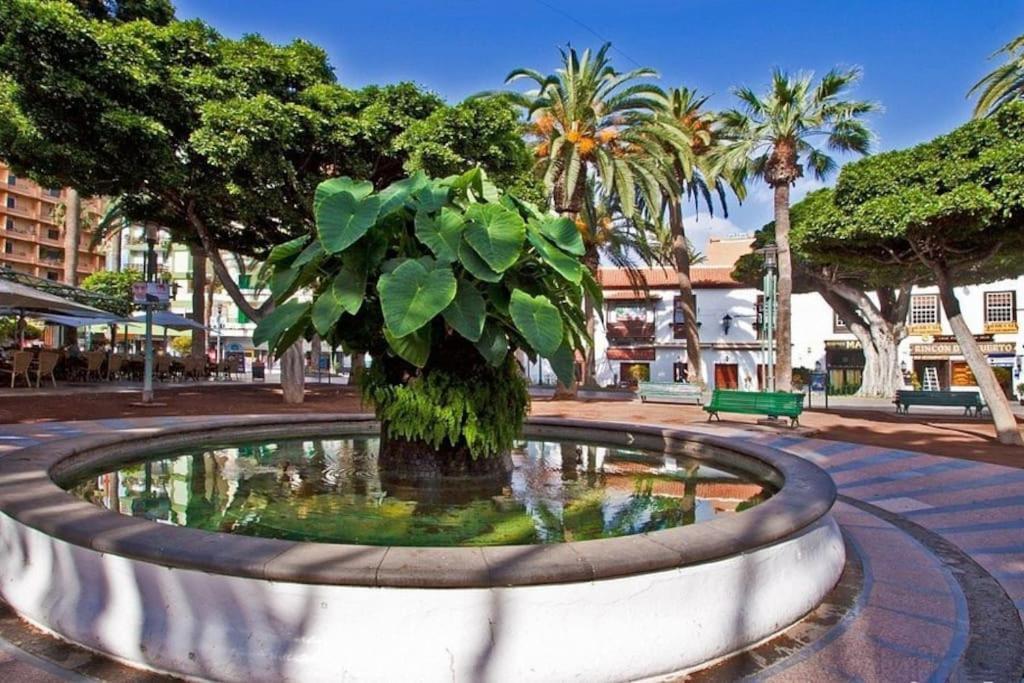 Centrico, Comodo Y Bello Apto En Puerto De La Cruz Exterior foto